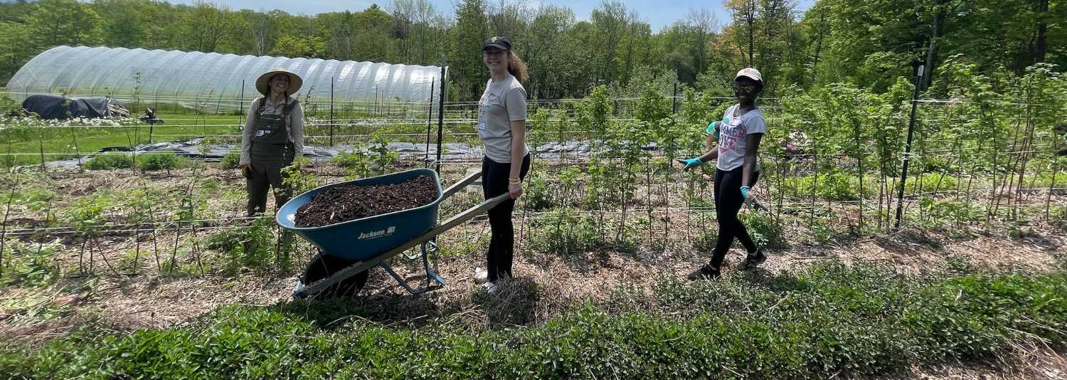 BCC students working in a garden