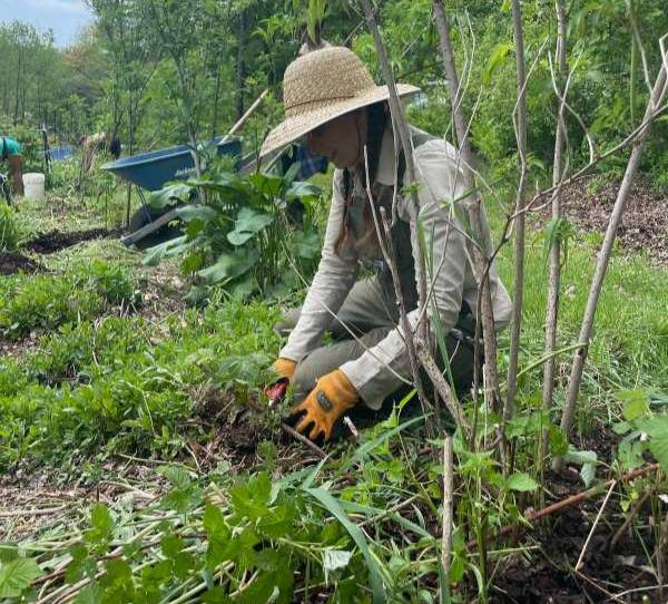 BCC students working in a garden