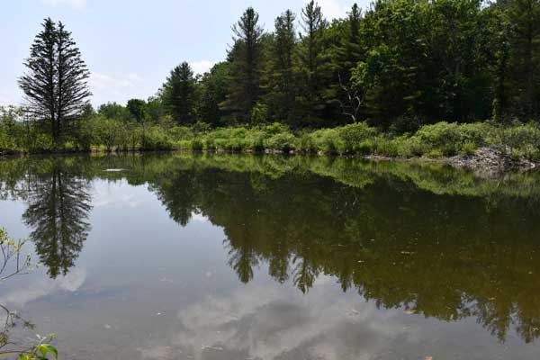 BCC Campus Pond