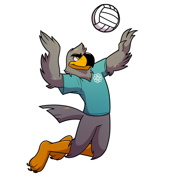 BCC's Falcon Mascot playing volleyball