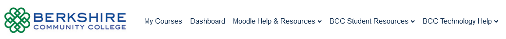 Image of Moodle top menu